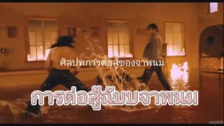 ศิลปะการต่อสู้ฉบับ จาพนม