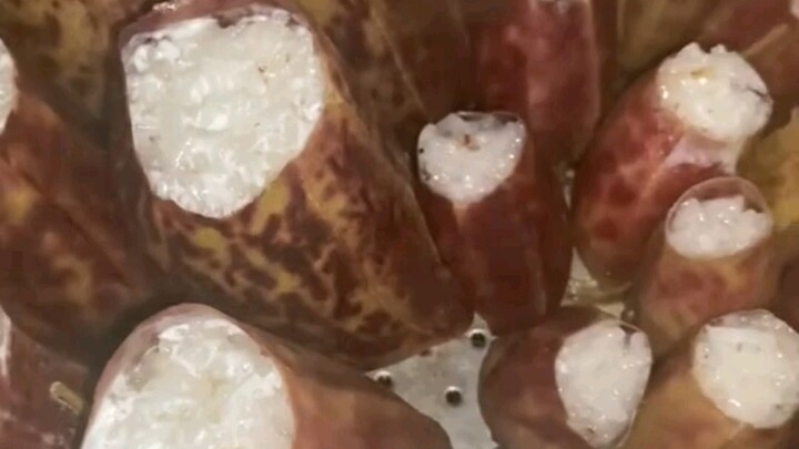 So it turns out you can actually use a pitcher plant to wrap and eat rice!