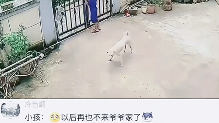 Kid: I’m never coming to Grandpa’s house again!