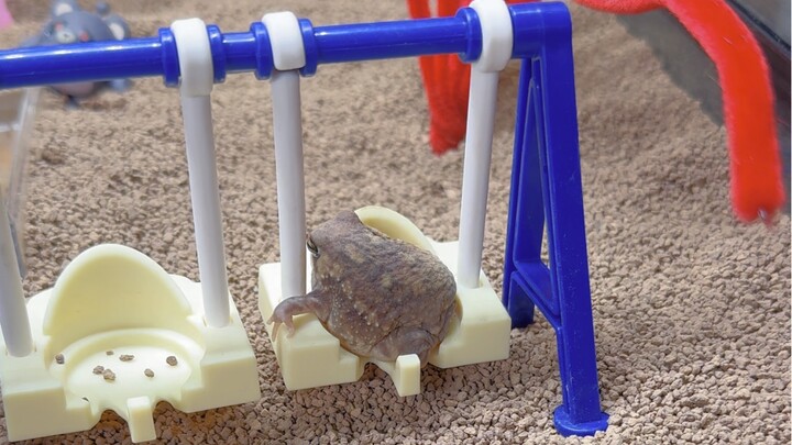 The Mystery of the Disappearing Steamed Bun Frog Eggs