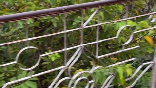 ວັດພູສີ .ຫລວງພຮະບາງ