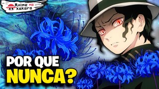 POR QUE MUZAN NUNCA ENCONTROU O LÍRIO ARANHA AZUL?? (Demon Slayer) | Anime No Kokoro