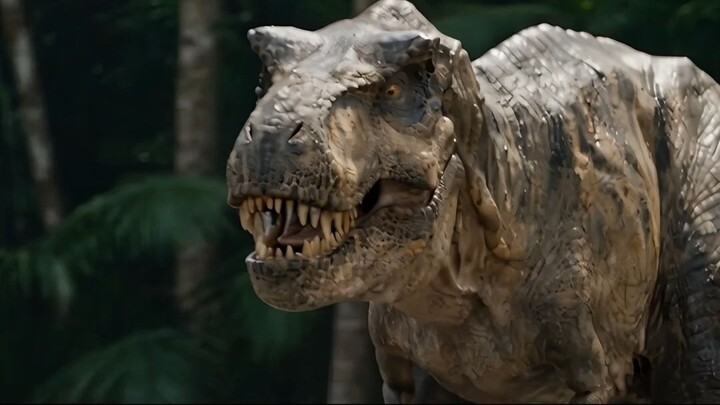 Trex champion