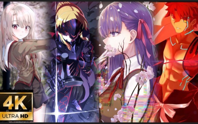 如果这是恶的话，我宁愿为恶【Fate/卫宫士郎】