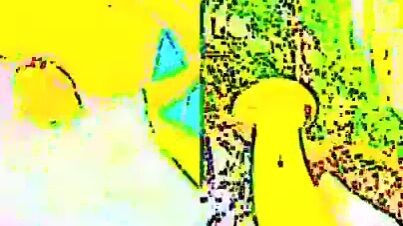 dude's mushroom were harvested😰😰 #meme_1_okokj