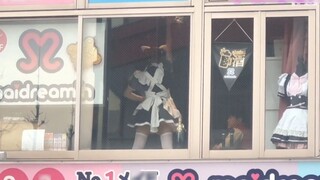 Watch the maid show for free outside the window in Akihabara!
