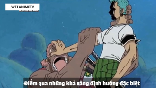 Top 7 Thánh Bựa Cực Kì Lầy Lội Trong One Piece #3 7
