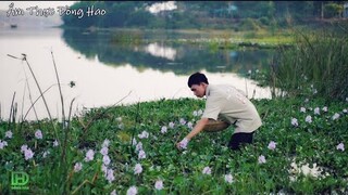 Hái Lục Bình Nấu Lẩu Mắm Miền Quê