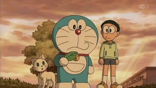 Doraemon - Rakun Jatuh Cinta Pada Doraemon (Dub Indo)