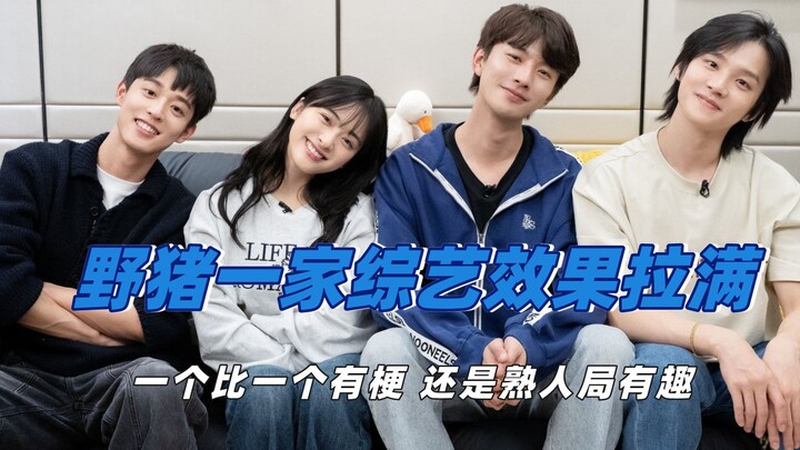 Keluarga babi hutan tampil bak acara varietas dengan chemistry yang super kocak, satu sama lain sali