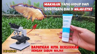 EKSPERIMEN: DEMODEX/MAKHLUK KECIL YANG HIDUP DIWAJAH KAMU