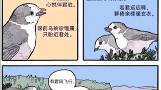 有君同飞行，旧羽总弥新。