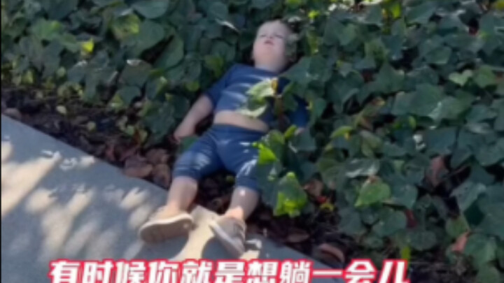 The weather’s so nice—perfect for catching a lazy nap by the roadside, hehe~