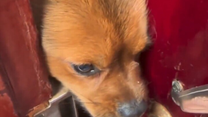 ชาวเน็ต: น้ำตาซึมเลย พี่บล็อกเกอร์ บอกว่า “ไม่จำเป็นหรอก แค่ทำกับข้าวเฉยๆ”