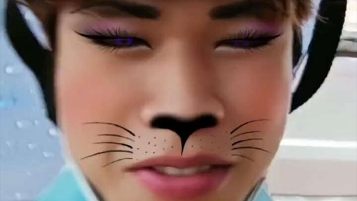 Phát hiện một chú mèo hoang bị bỏ rơi bên đường