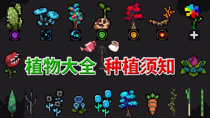 [NetEase's Ghost Town] Plant Guide: Seed Acquisition and Planting Instructions