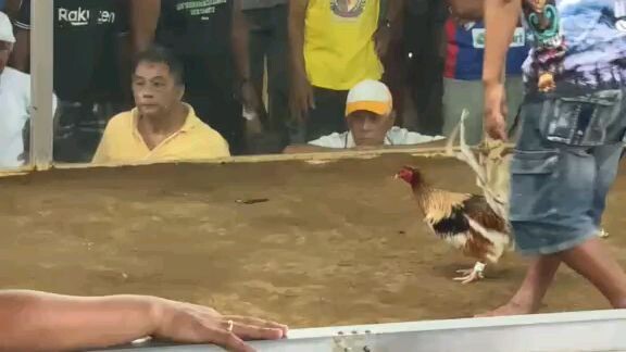 2nd fight win...
