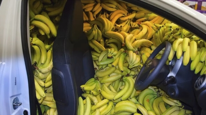 Steam’s Cyber Banana Scam Officially Collapses: The Value of Bananas Has Nearly Dropped to Zero! #Po