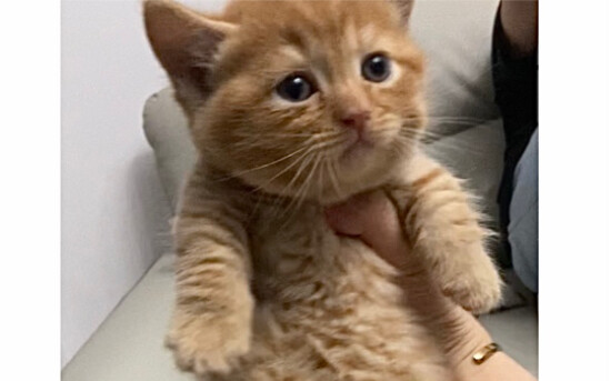 ต่อให้ฉันเปลี่ยนไป คุณก็ยังจะรักฉันใช่ไหม?