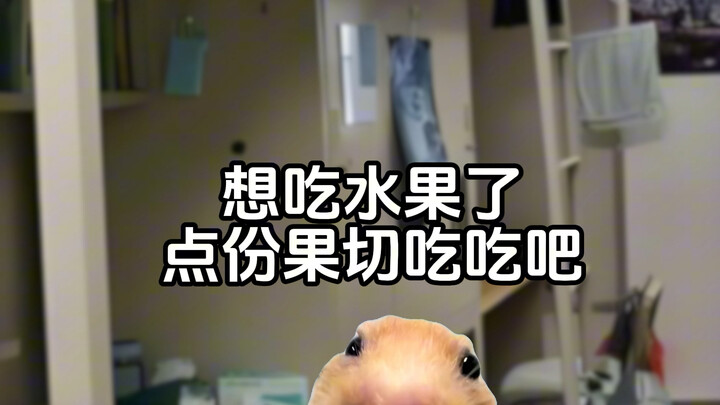 When College Students Suddenly Have a Little Money #CatMemeSkits#Post-00s#CollegeStudents#WayTooReal