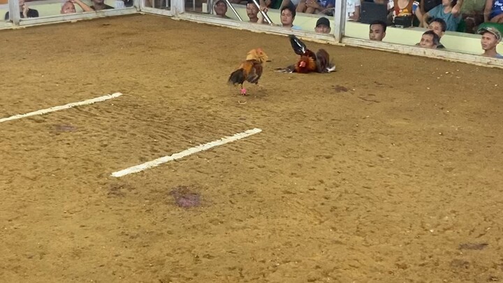 First fight win