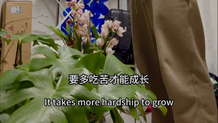 Give your plants a pep talk before heading home for the New Year.