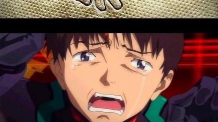 EVA memes: Who is the best girl?