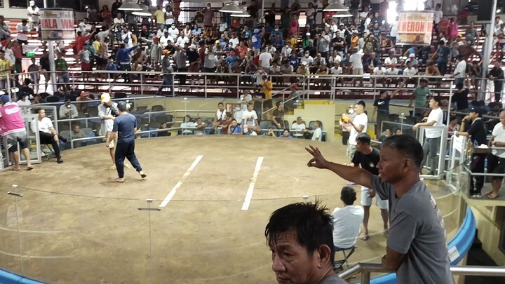 tresan kalaban .winning line gold