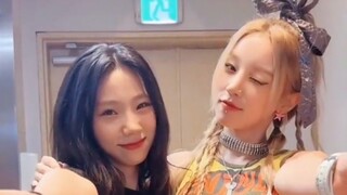 两姐妹好久不见！【宋雨琦+李夏天】SNAP舞蹈挑战