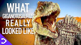 What Did Giganotosaurus REALLY Look Like?! - Jurassic World: Dominion