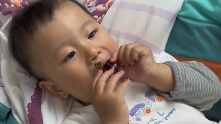 الحياة اليومية للرجل البري