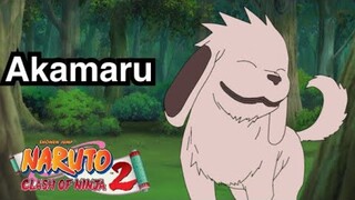 Naruto clash of ninja 2 Akamaru One player mode 60fps