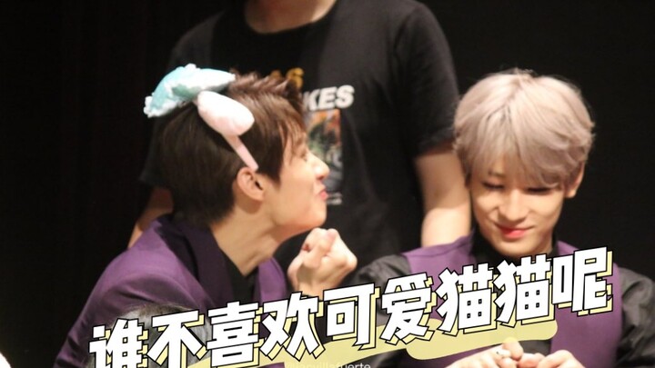 【โย่วฮุย】“ฉันชอบแมว ถ้าจวิ้นแปลงร่างเป็นแมวน่าจะน่ารักมาก คงเป็นแมวที่อ้อนฉันด้วยนะ”