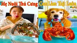 Thú Cưng TV | Dương KC Pets | Gâu Đần và Bà Mẹ #10 | Chó Golden Gâu Đần thông minh vui nhộn cute dog