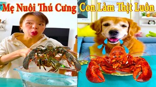 Thú Cưng TV | Dương KC Pets | Gâu Đần và Bà Mẹ #10 | Chó Golden Gâu Đần thông minh vui nhộn cute dog