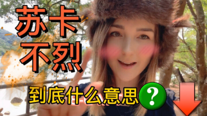 在俄罗斯说”苏卡不烈”会被打的