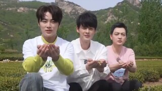 غوو بينغتشاو، أنتم الثلاثة لم تستطيعوا الخروج من شاندونغ؟ لماذا أشعر وكأنكم تُجبرون على العمل رغمًا 