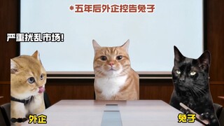 สร้างขึ้นมาจริงๆ แล้วคุณก็ไม่พอใจอีก...