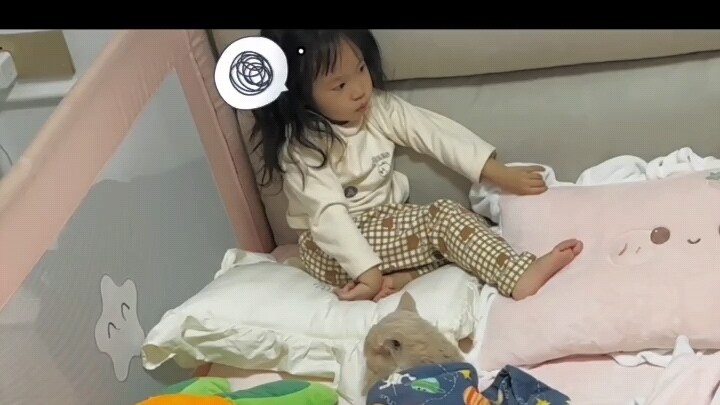 Mèo: Rốt cuộc thì chính tôi đã gánh chịu tất cả.