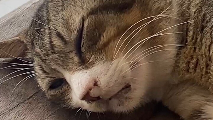 لم تدعني أنام الليلة، والآن لا تظن أنك ستتمكن من النوم أيضاً.