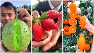 😍Farm Fresh Ninja Fruit #3 | Tik Tok China | (Oddly Satisfying Fruit Ninja)