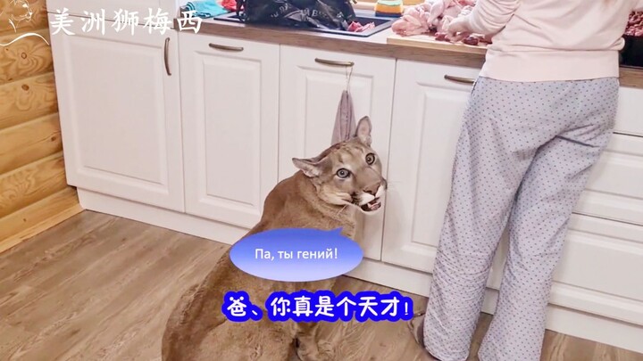 The cougar has found its mom's weakness!