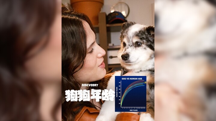 Usia anjing dibandingkan dengan usia manusia tidak sesederhana hanya dikalikan tujuh saja