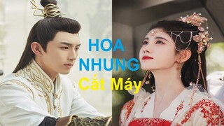 Chúc mừng Hoa Nhung đã cắt máy, đoàn phim hào phóng quá tung bao nhiêu là vid hậu trường luôn