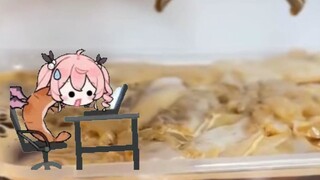Guangdong Devil menonton kopi nasi gulung, episode paling populer