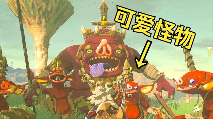 Hyrule’s Wonderful Ecosystem! The Cutest, Most Adorable Monster in Tears of the Kingdom? The Bokobli
