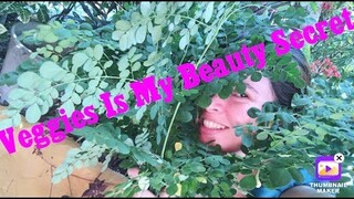 My Beauty Secret | Philippines Vegetables Moringa | Malunggay | Witty Bonita