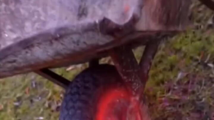 مين خلّاك تقصّه هيك؟