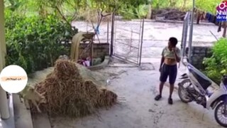 Gia chủ thân thiện =))