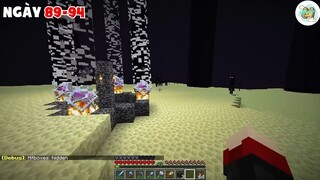 The end vô tận #minecraftboy